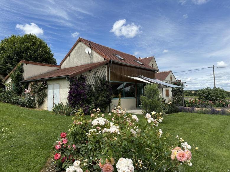 Gite De La Roseraie Louchy-Montfand Kültér fotó